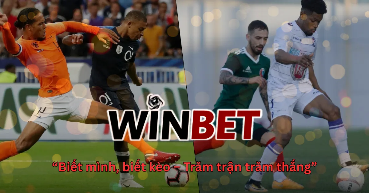 winbetvn-bong-chinh-bong-co