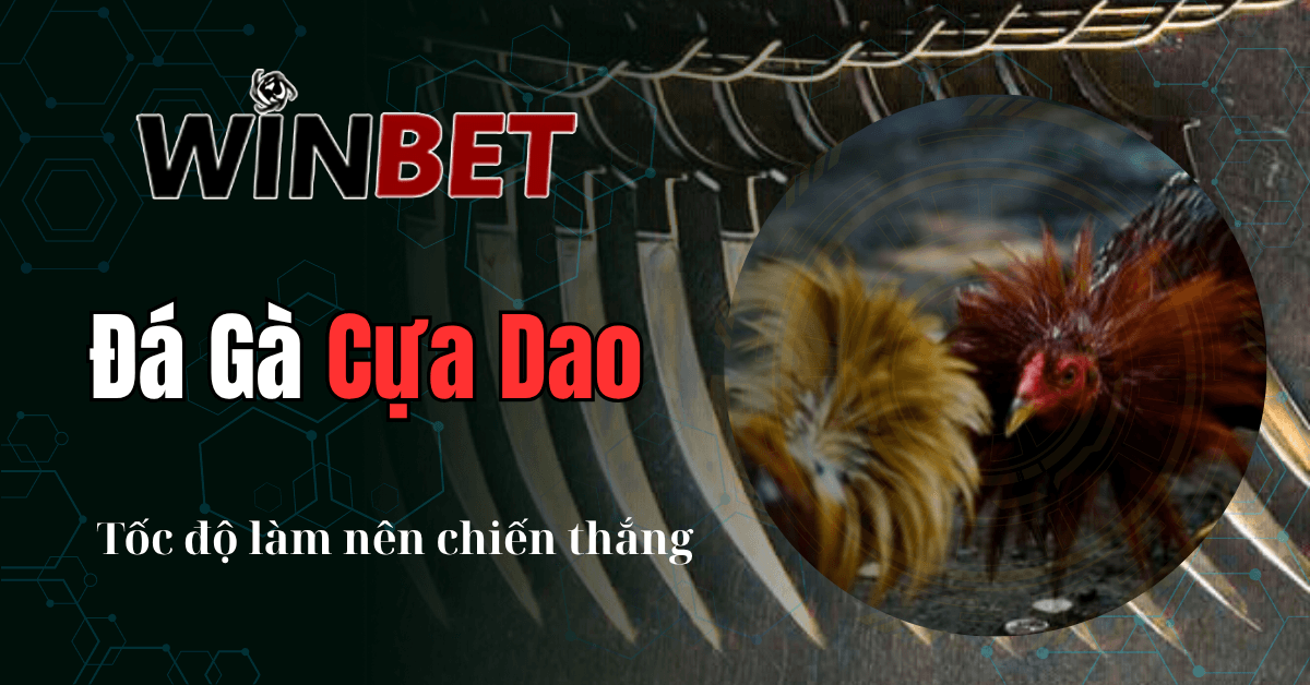 Đá Gà Cựa Dao – Thể Thao Đối Kháng Đỉnh Cao Trên Nền Tảng Đá Gà Online SV388