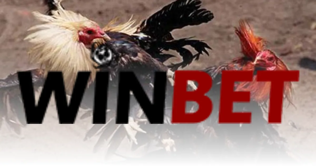 Cockfight