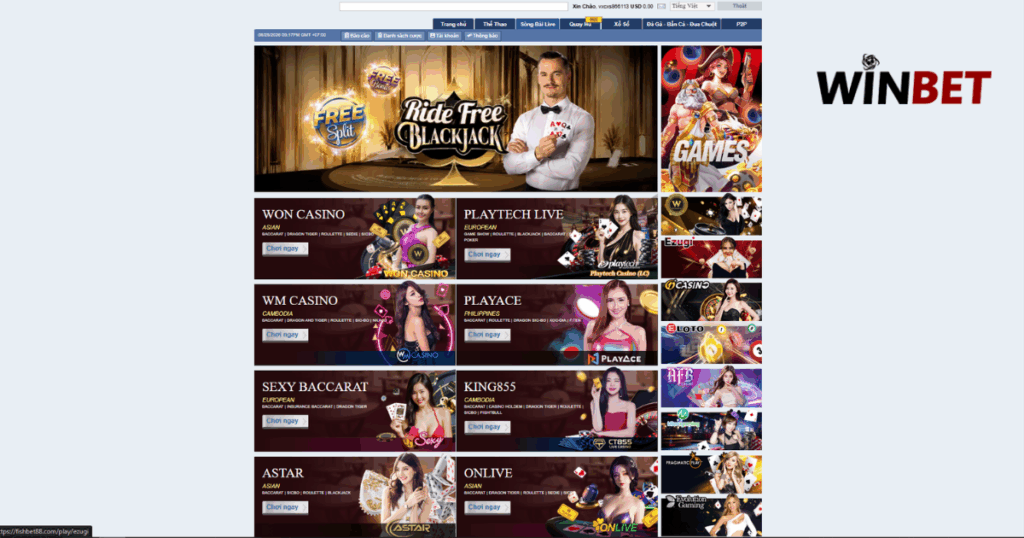 Live casino